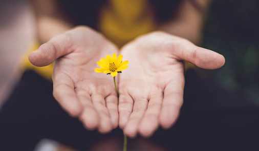 Hands in askance of forgiveness, holding a flower.